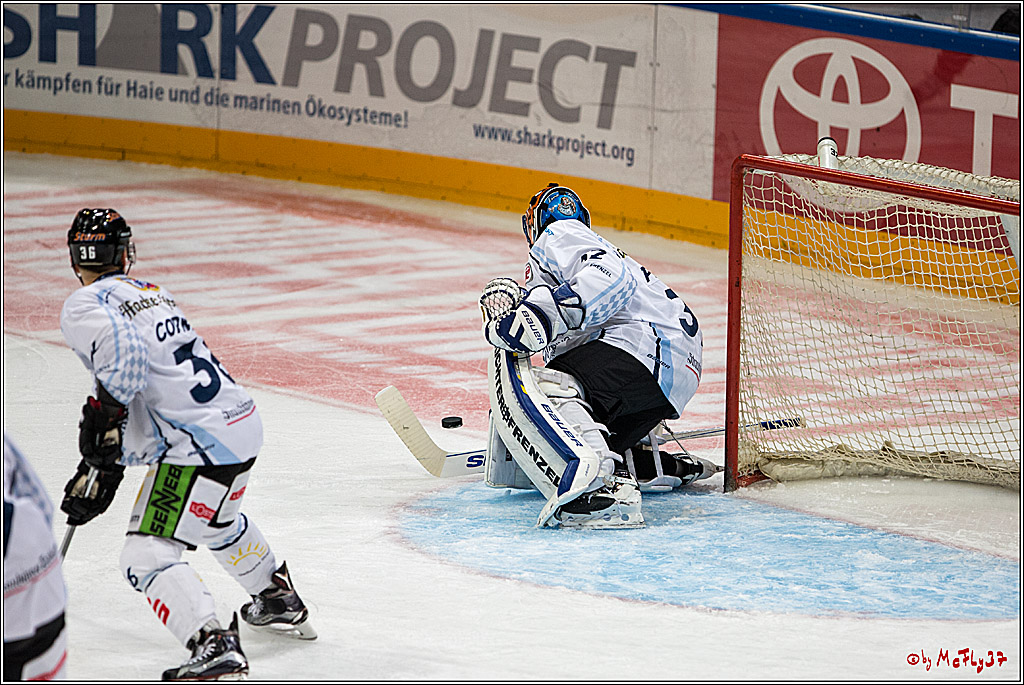 Koelner Haie - Straubing Tigers, 03.10.2016